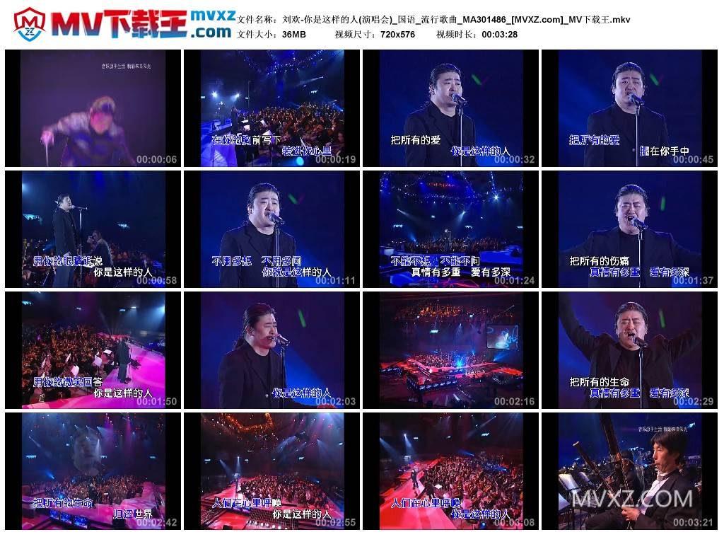 刘欢-你是这样的人(演唱会)_国语_流行歌曲_MA301486